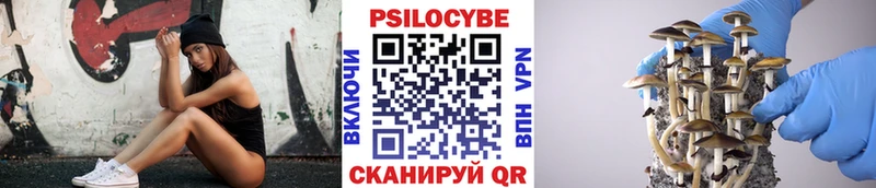 купить  сайты  Майкоп  дарк нет состав  Псилоцибиновые грибы Magic Shrooms 
